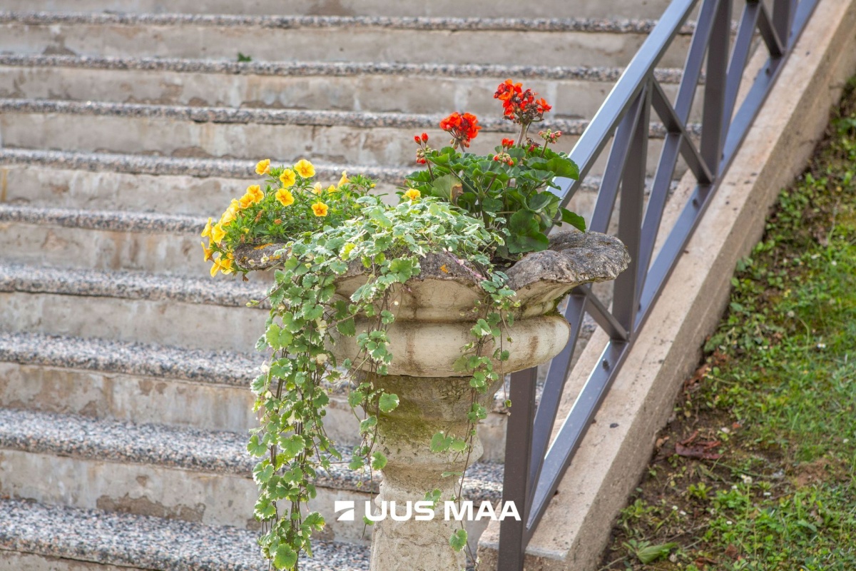 Rõuge vald, Kokõ küla, Koke