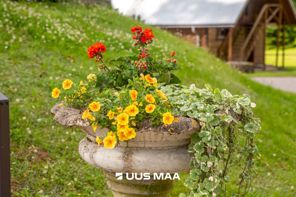 Rõuge vald, Kokõ küla, Koke