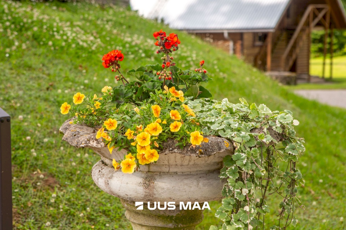 Rõuge vald, Kokõ küla, Koke