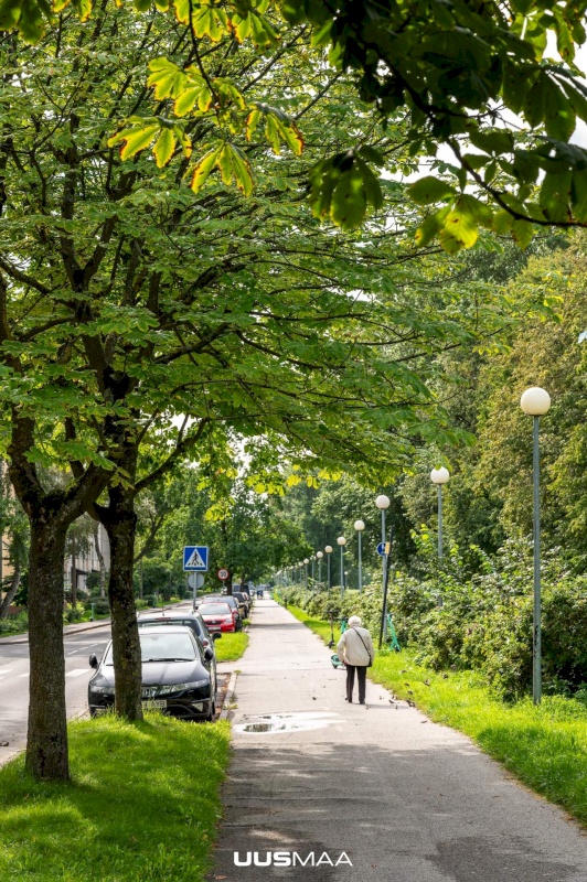 Tallinn, Põhja-Tallinna linnaosa, Madala tn 22
