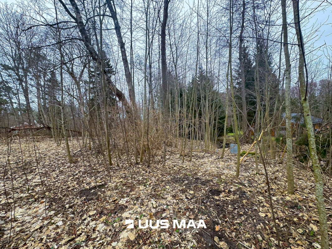 Lääne-Harju vald, Meremõisa küla, Merihobu tee 9