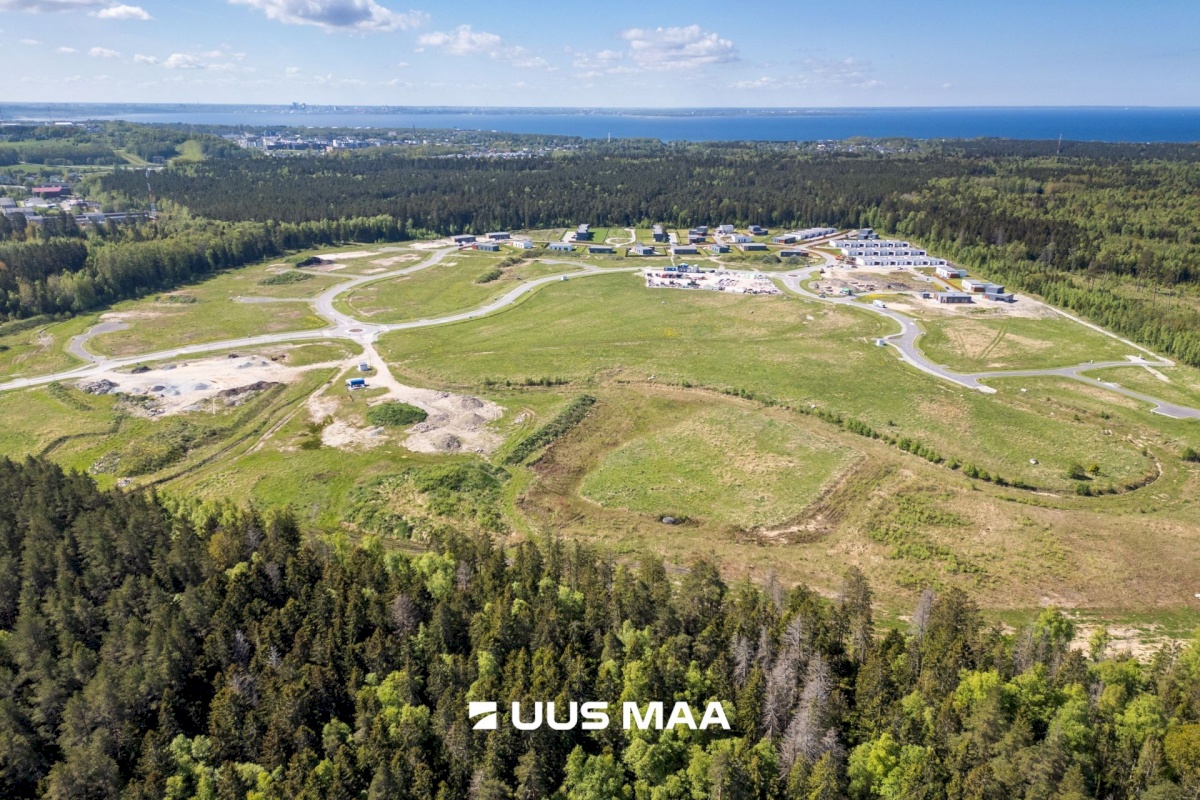 Viimsi vald, Lubja küla, Põldmarja tee 9