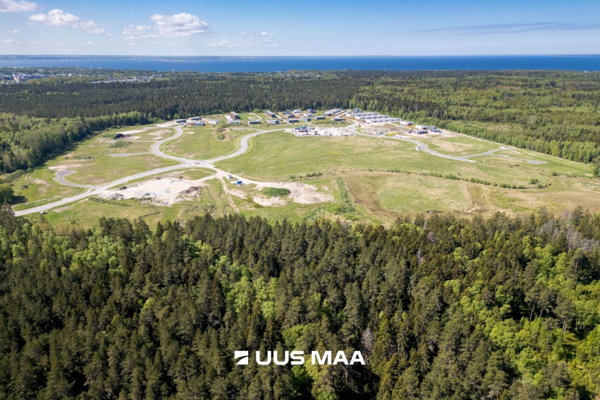 Viimsi vald, Lubja küla, Põldmarja tee 9