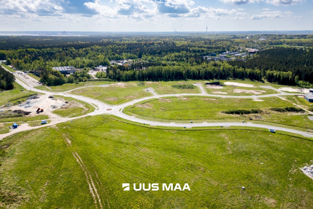 Viimsi vald, Lubja küla, Põldmarja tee 9