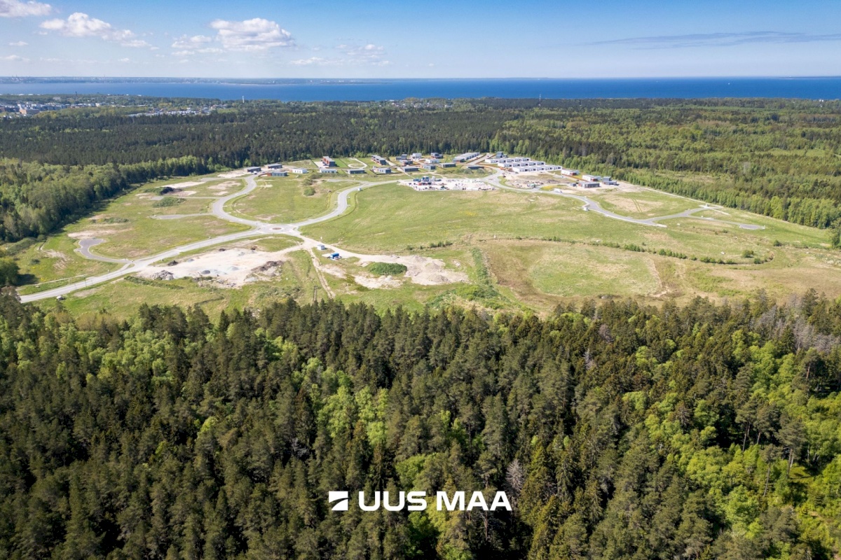 Viimsi vald, Lubja küla, Põldmarja tee 9