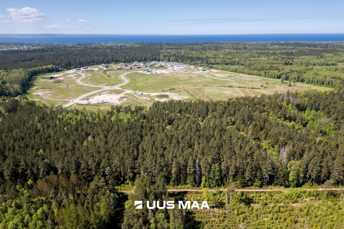 Viimsi vald, Lubja küla, Põldmarja tee 9