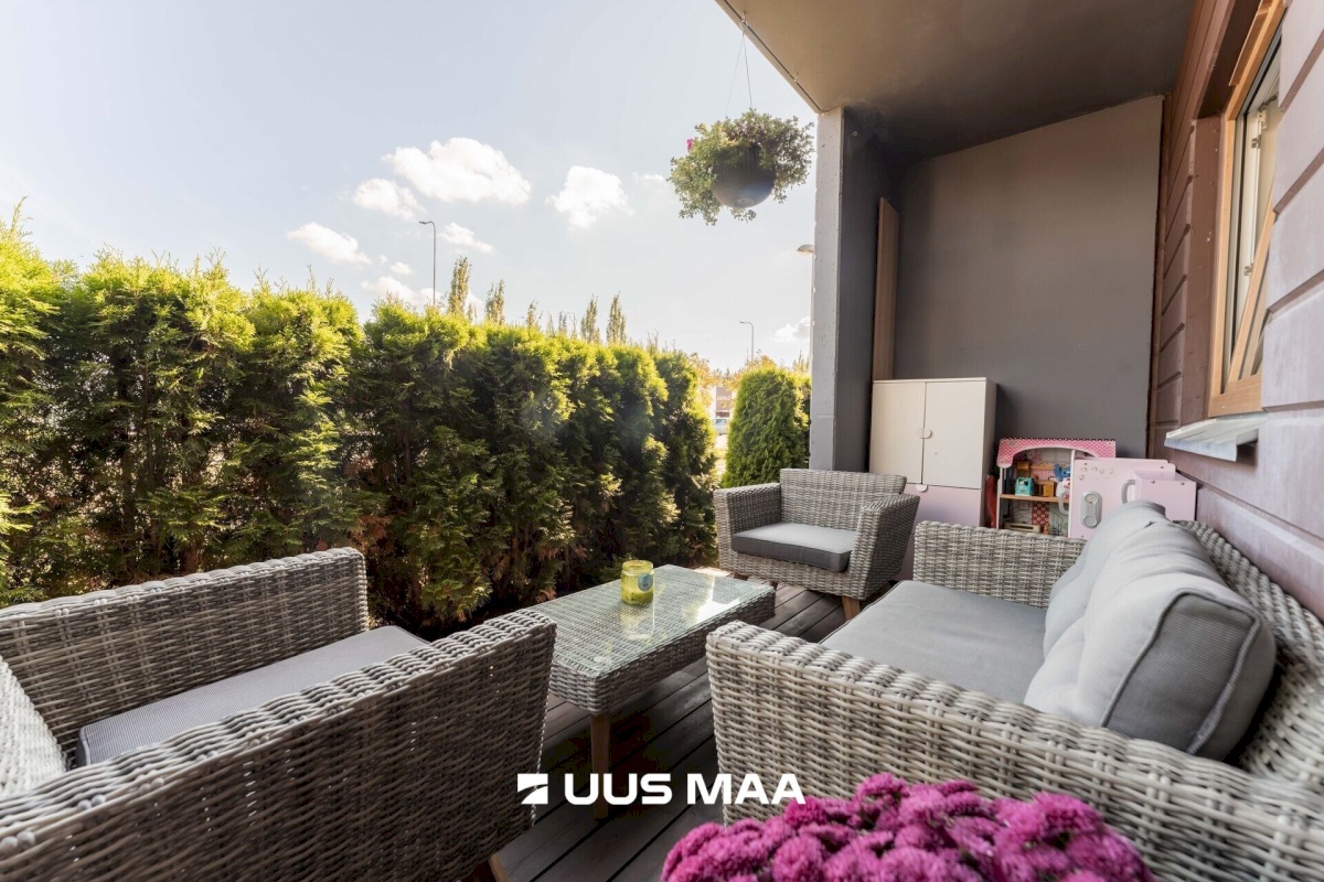 Rae vald, Peetri alevik, Tammiku põik 1