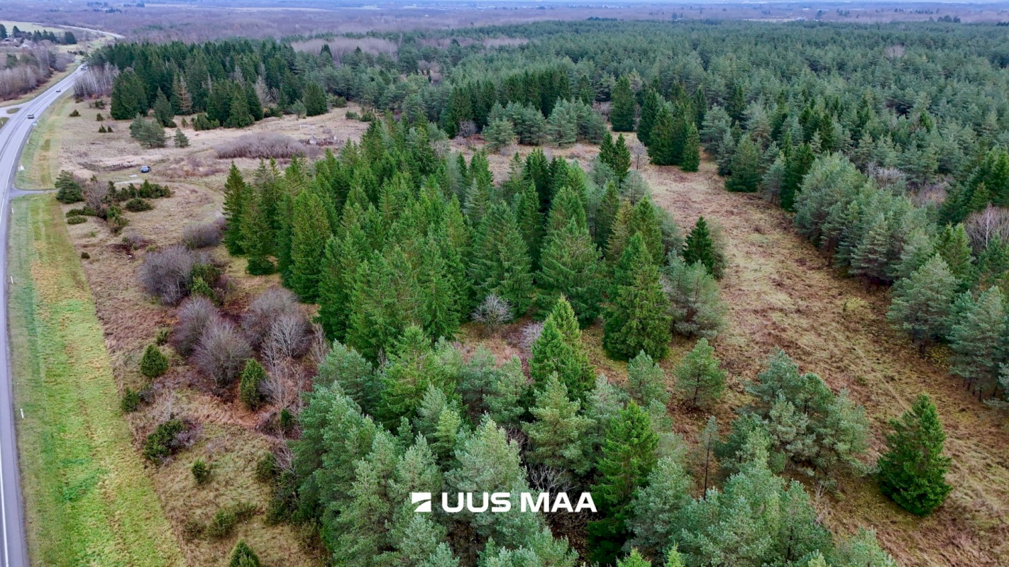 Saue vald, Püha küla, Vanatoa