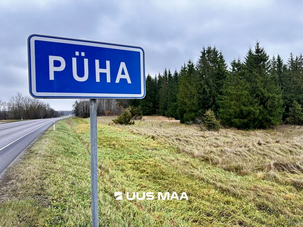 Saue vald, Püha küla, Vanatoa