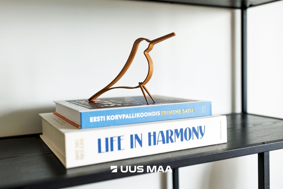 Viimsi vald, Metsakasti küla, Lätte tee 3