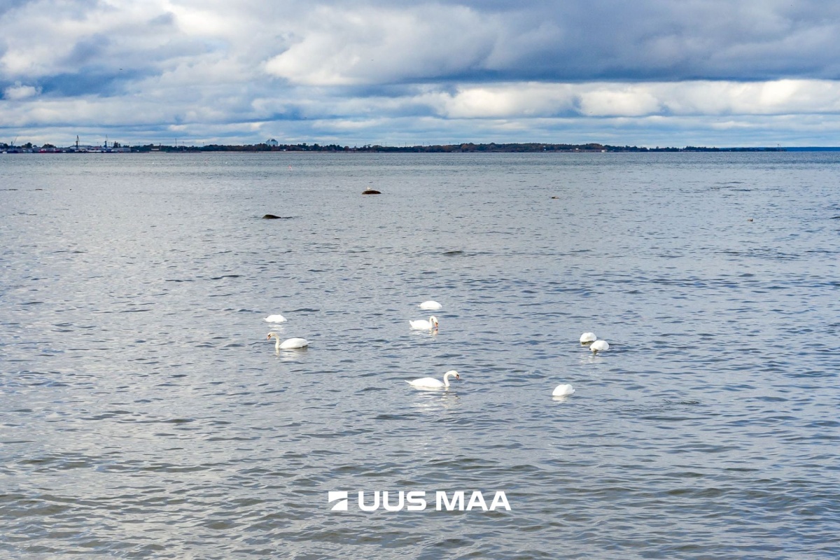 Tallinn, Kesklinna linnaosa, Kadriorg, Pirita tee 26f