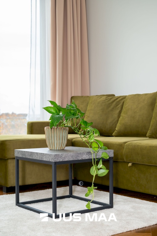 Tallinn, Kesklinna linnaosa, Lastekodu 31