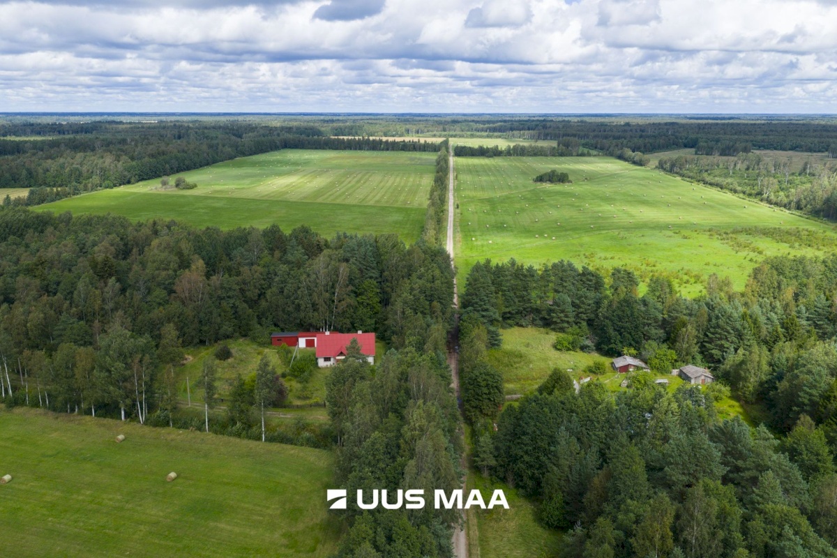 Hiiumaa vald, Emmaste-Kurisu küla, Sarapuu