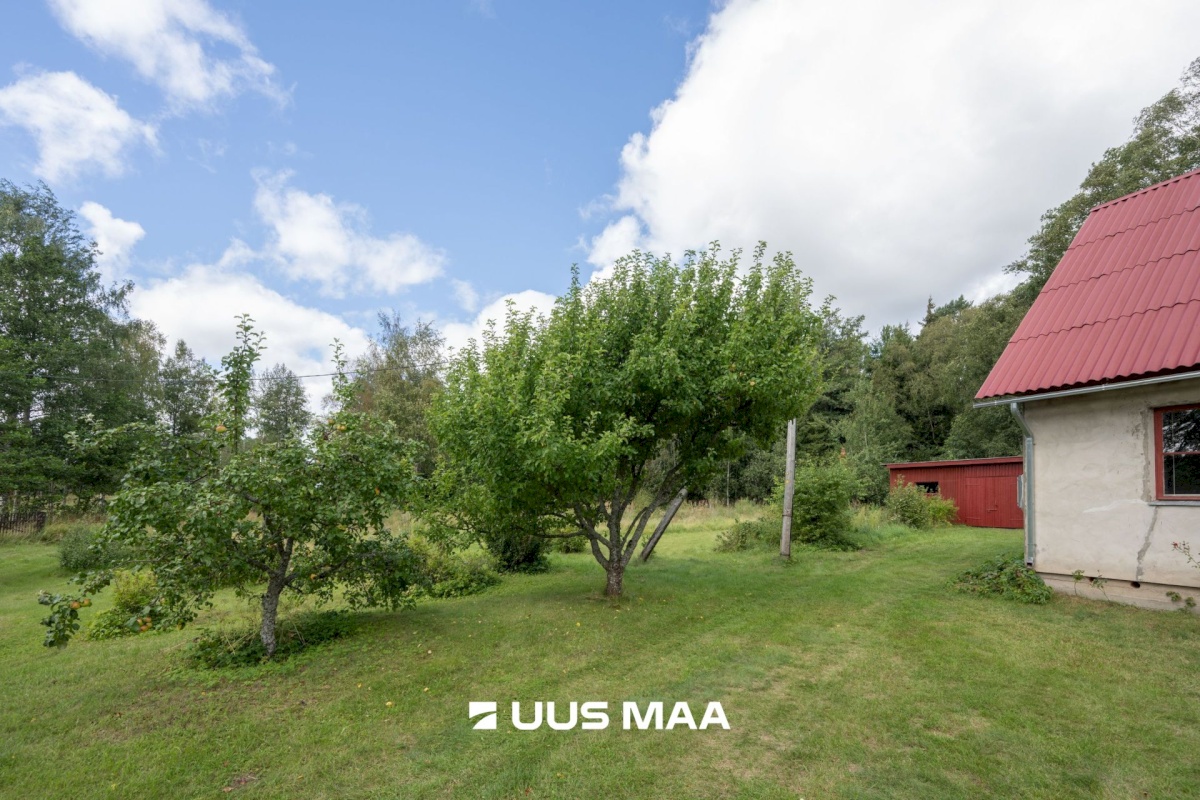 Hiiumaa vald, Emmaste-Kurisu küla, Sarapuu