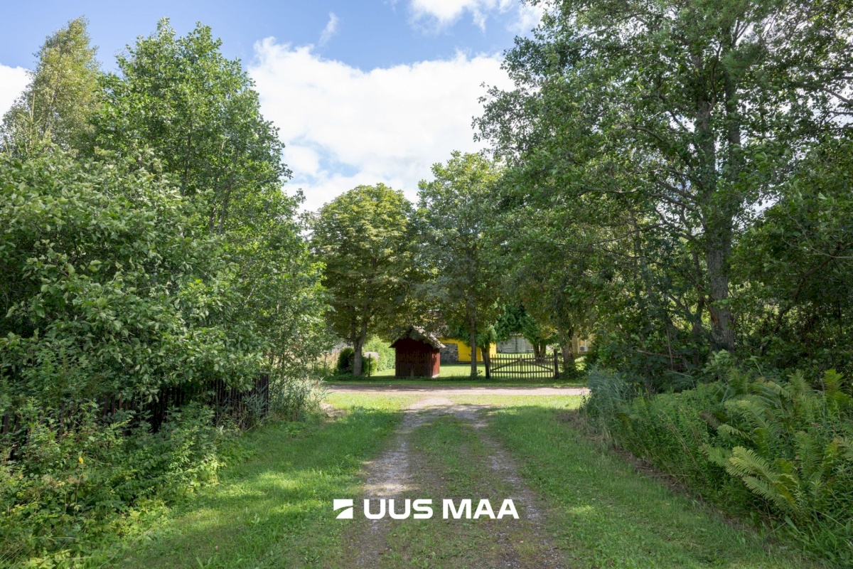 Hiiumaa vald, Emmaste-Kurisu küla, Sarapuu