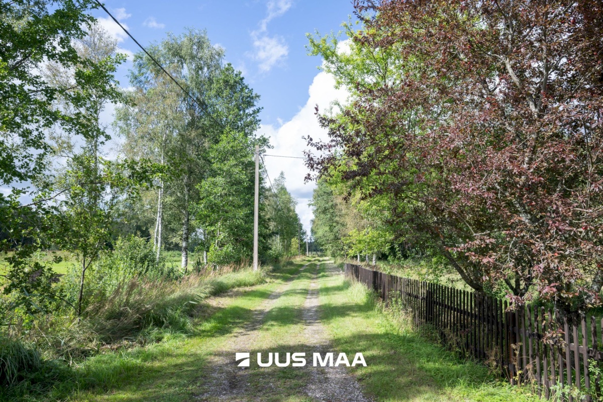 Hiiumaa vald, Emmaste-Kurisu küla, Sarapuu