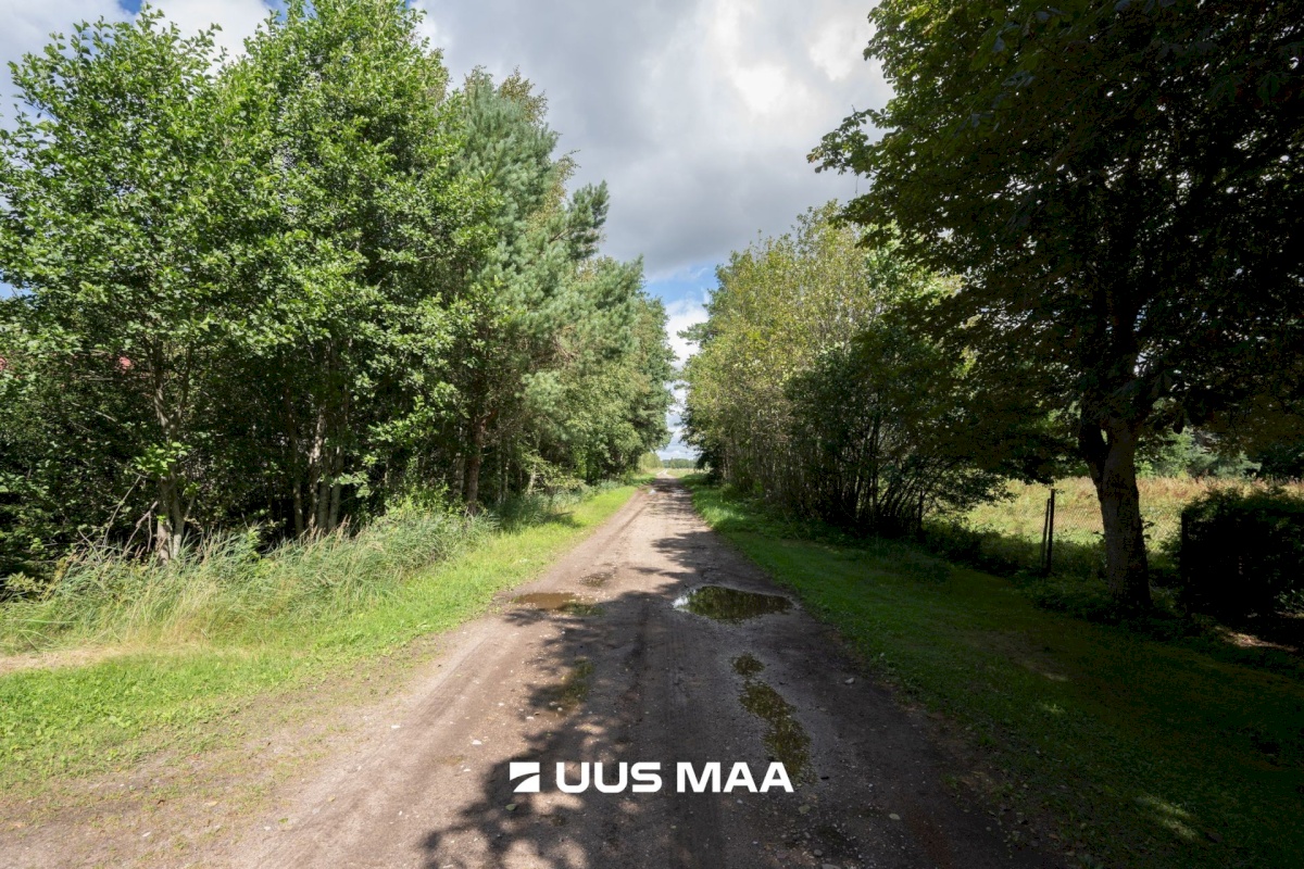 Hiiumaa vald, Emmaste-Kurisu küla, Sarapuu