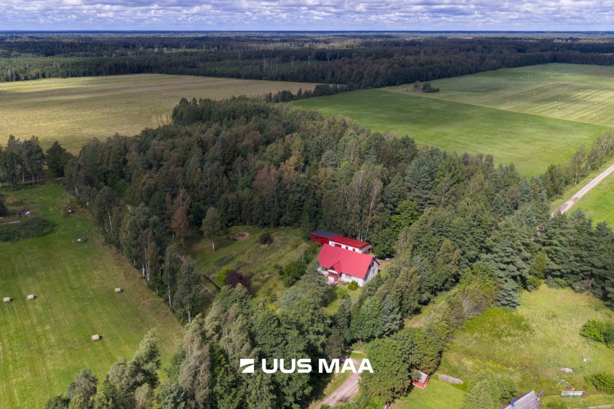 Hiiumaa vald, Emmaste-Kurisu küla, Sarapuu