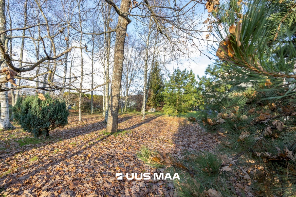 Viimsi vald, Haabneeme alevik, Nurme põik 10