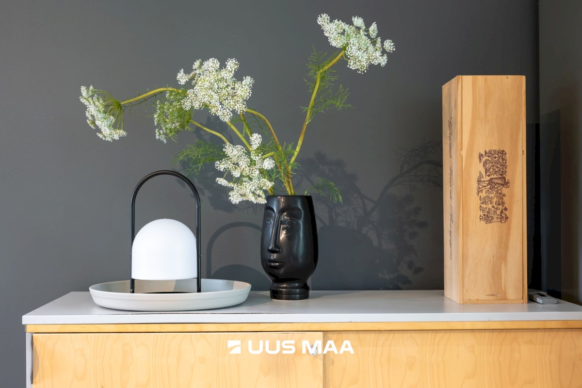 Tallinn, Nõmme linnaosa, Sõbra 51