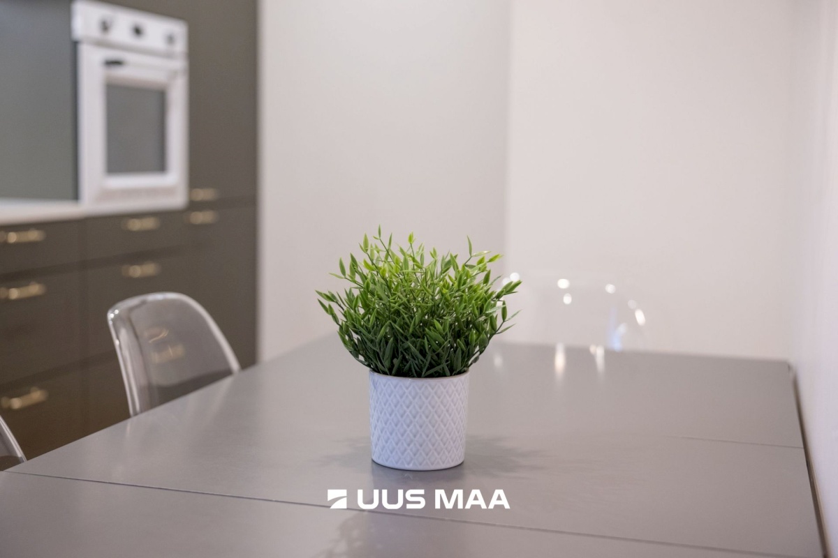 Tallinn, Kesklinna linnaosa, Mäe tn 2