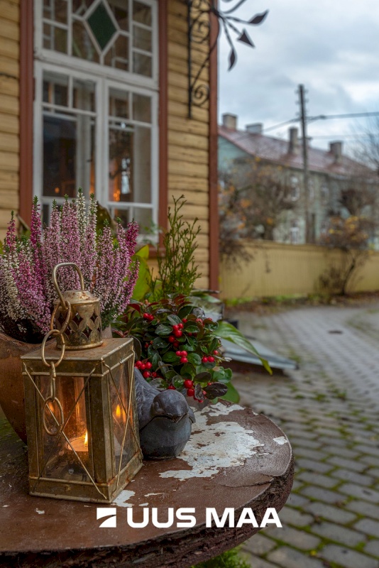 Tartu linn, Tartu linn, Karlova, Tolstoi 14