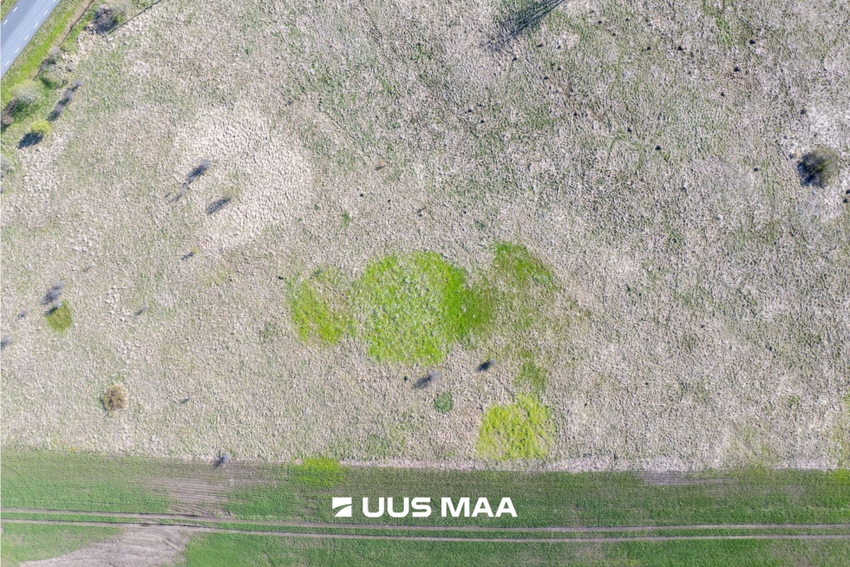 Rae vald, Suuresta küla, Vanatammi 14