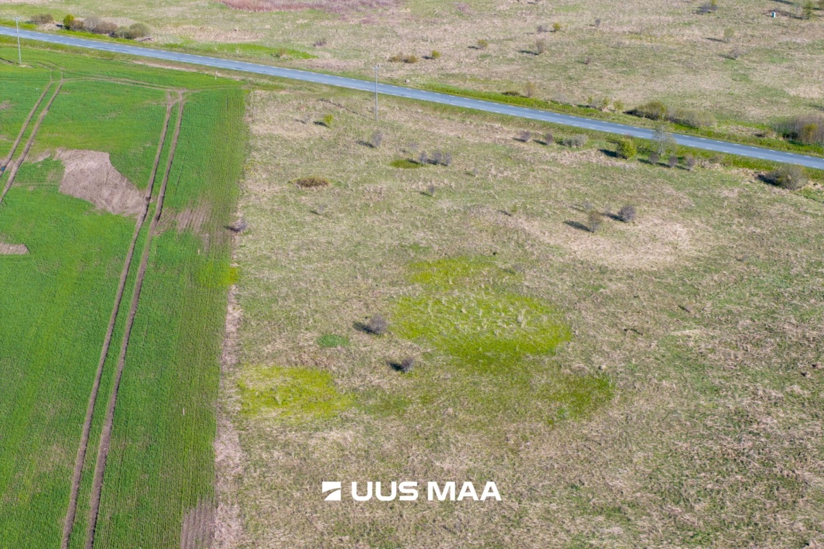 Rae vald, Suuresta küla, Vanatammi 14