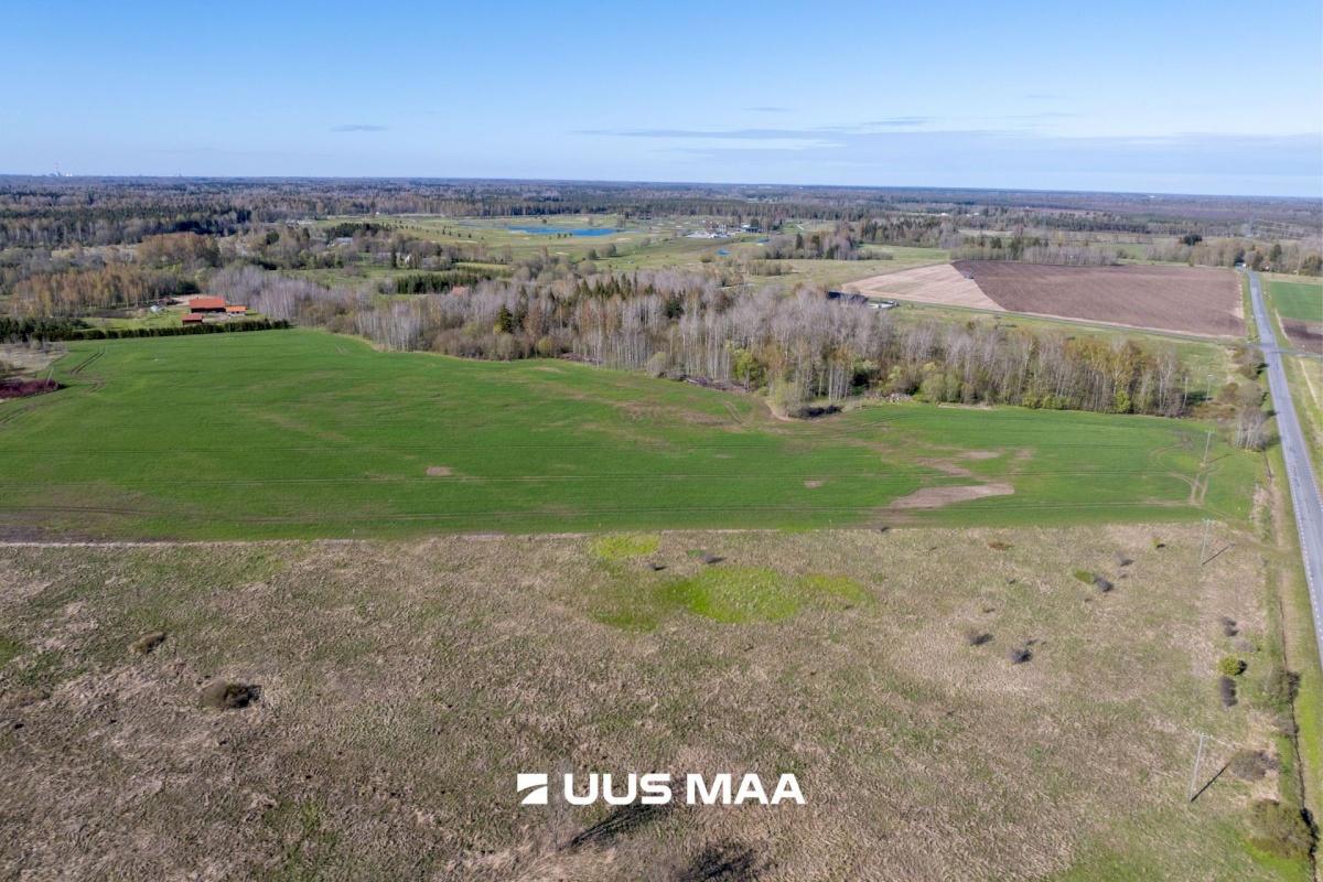 Rae vald, Suuresta küla, Vanatammi 14