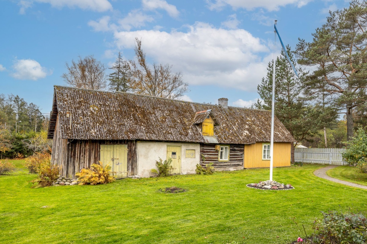 Viimsi vald, Tammneeme küla, Tammneeme tee 17