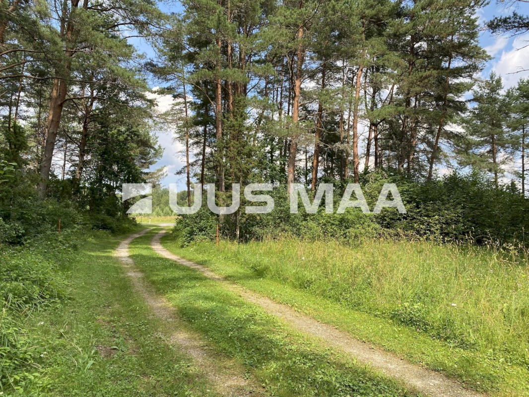 Saue vald, Koppelmaa küla, Poki tee