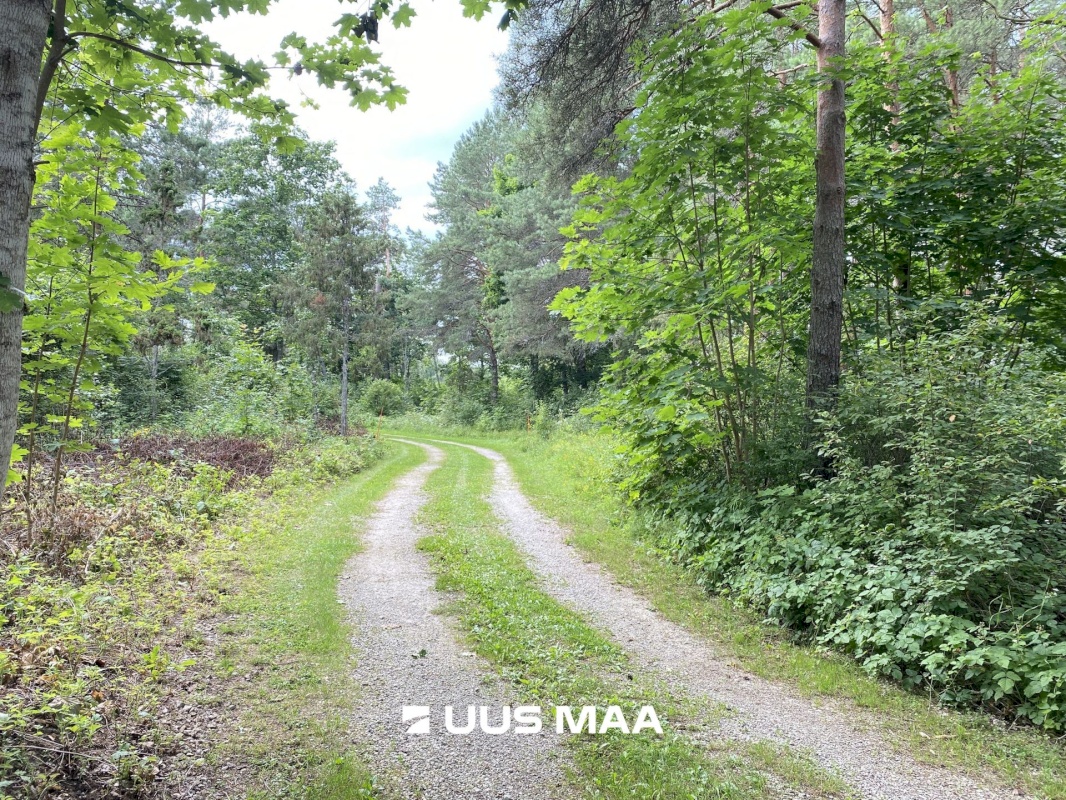 Saue vald, Koppelmaa küla, Poki tee