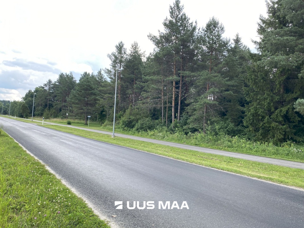 Saue vald, Koppelmaa küla, Poki tee