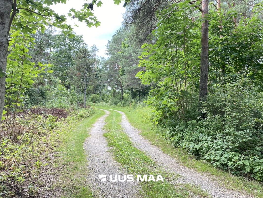 Saue vald, Koppelmaa küla, Poki tee