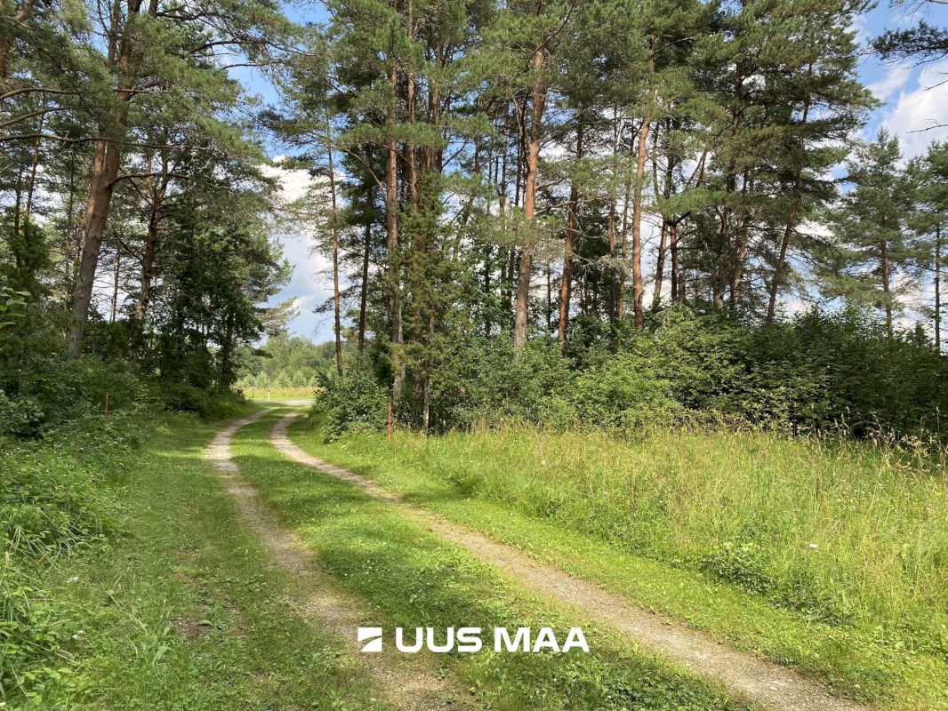 Saue vald, Koppelmaa küla, Poki tee