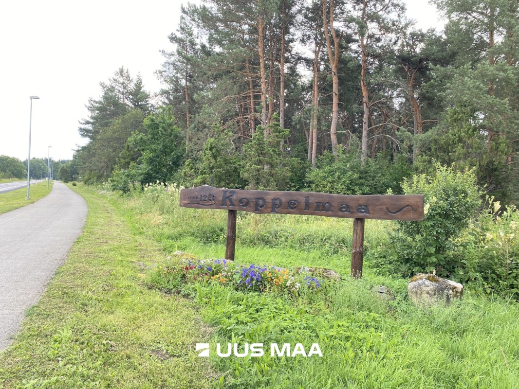 Saue vald, Koppelmaa küla, Poki tee