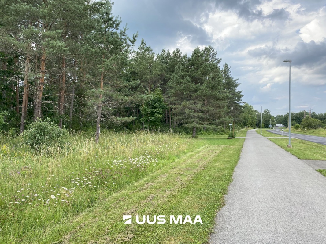 Saue vald, Koppelmaa küla, Poki tee