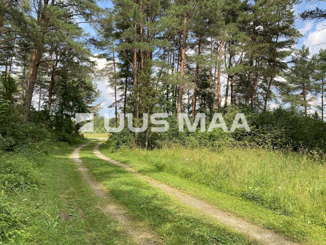 Saue vald, Koppelmaa küla, Poki tee
