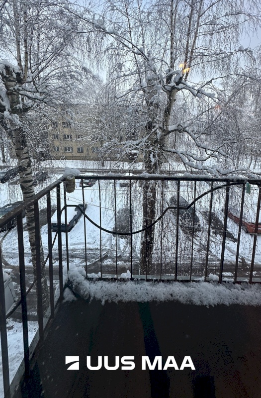 Tapa vald, Tapa linn, Üleviste 10