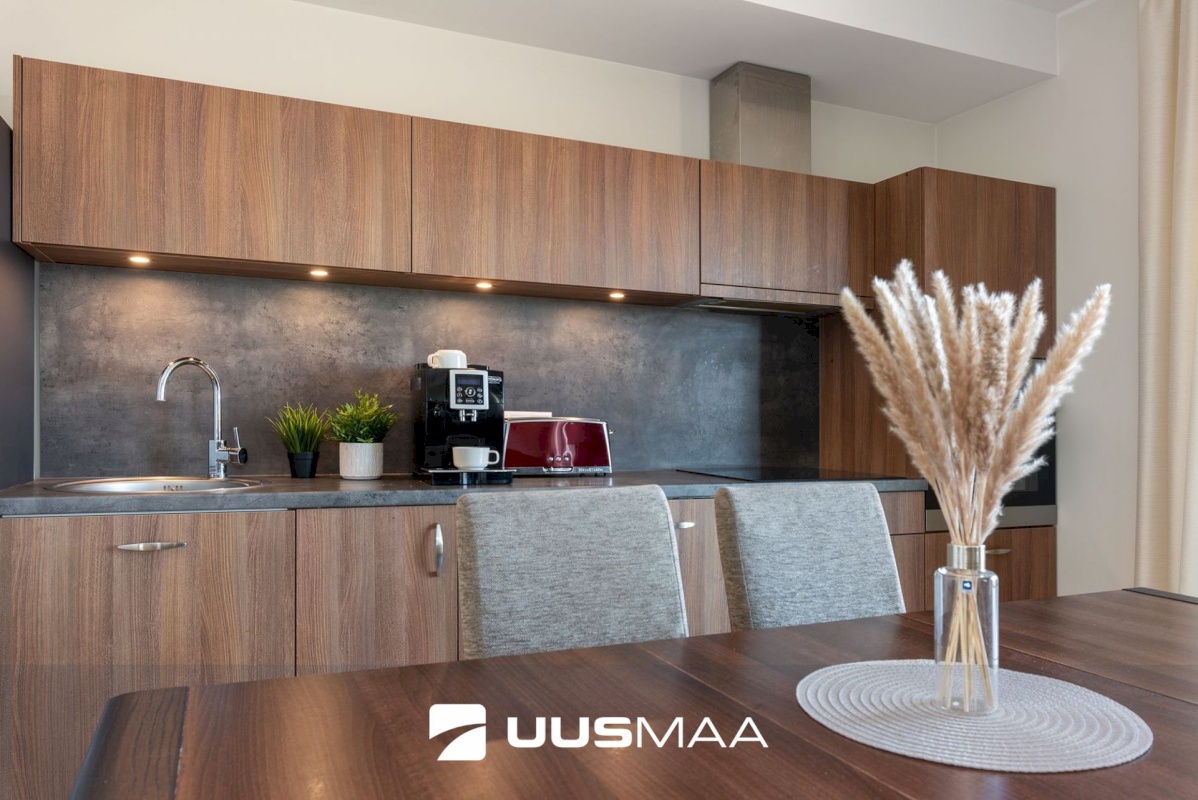 Tartu linn, Tartu linn, Raadi-Kruusamäe, Kaupmehe 21