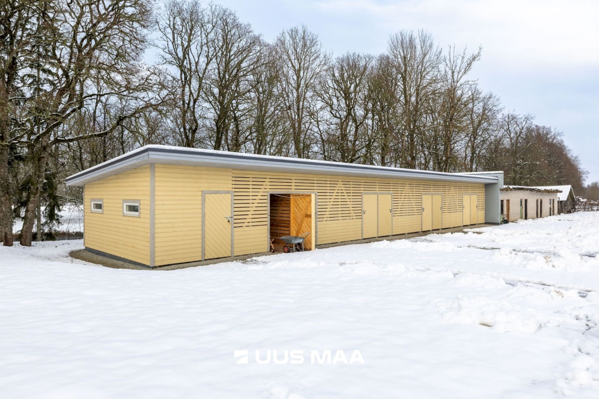 Kadrina vald, Vohnja küla, Ringi tee 4