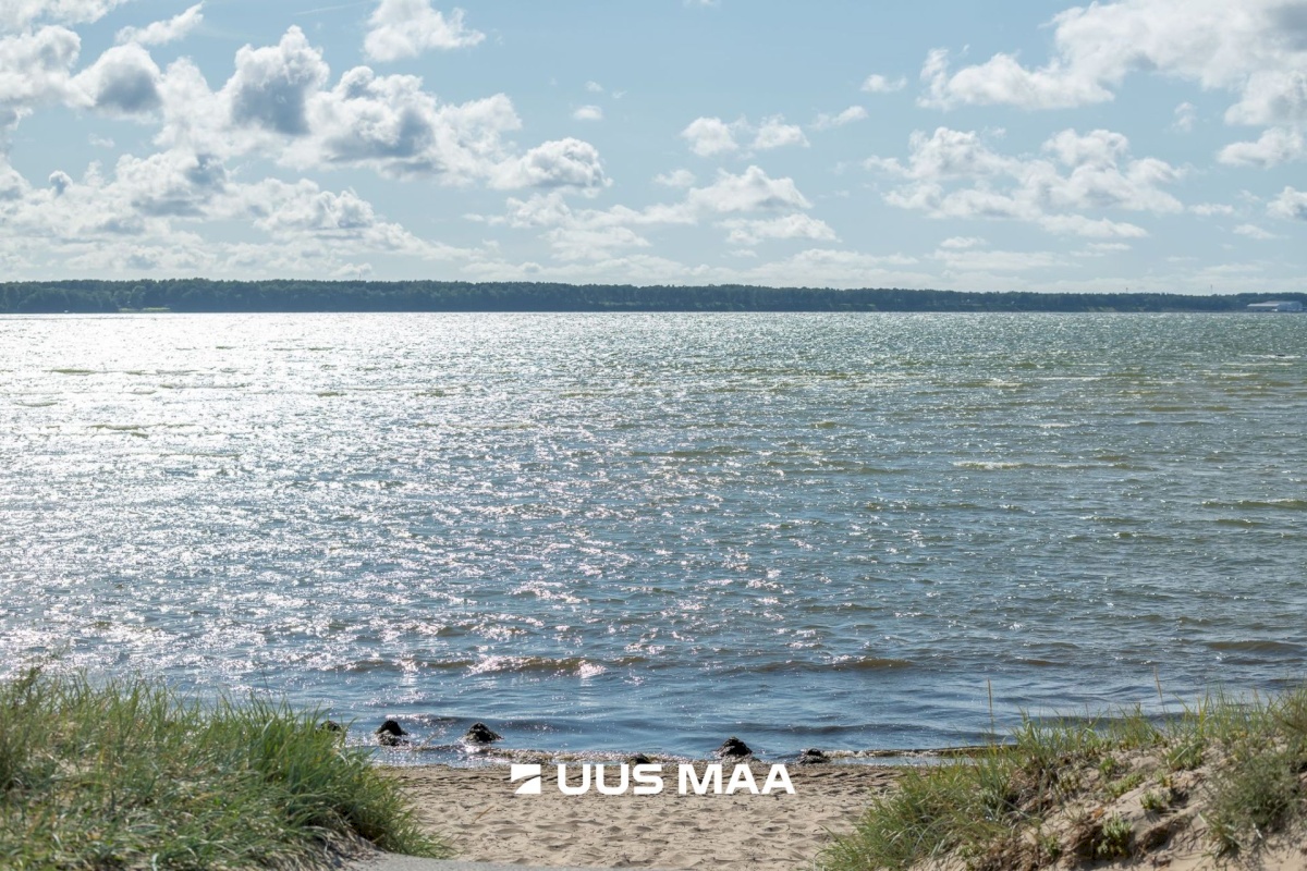 Tallinn, Põhja-Tallinna linnaosa, Pelguranna, Randla 11