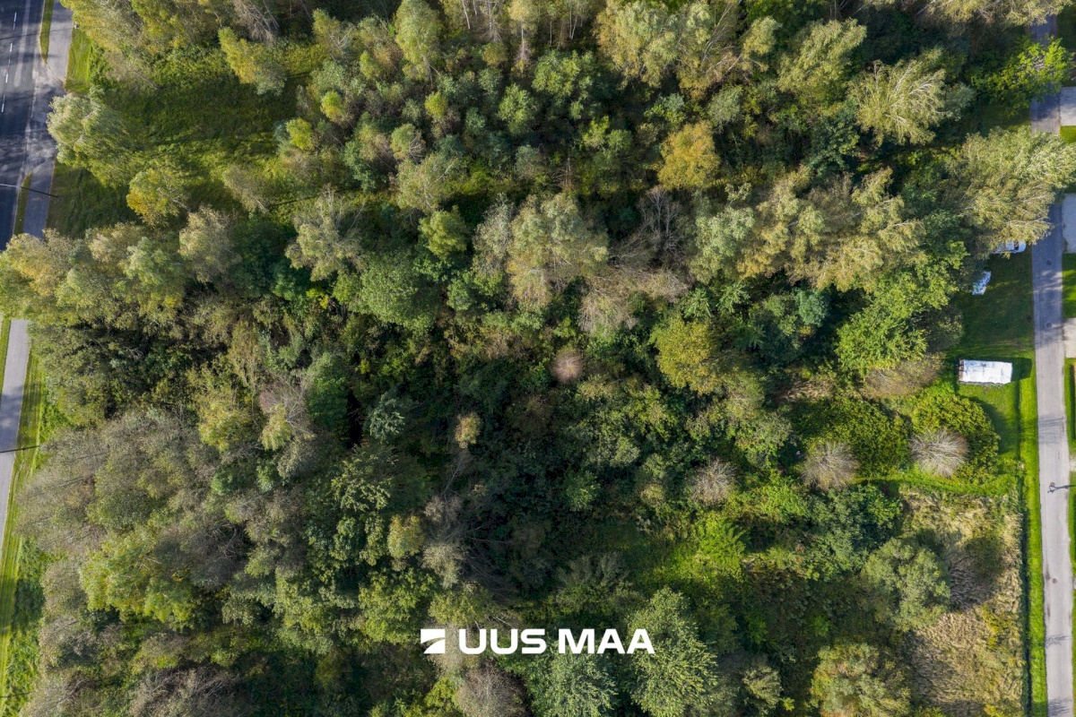 Tori vald, Sindi linn, Turba 3