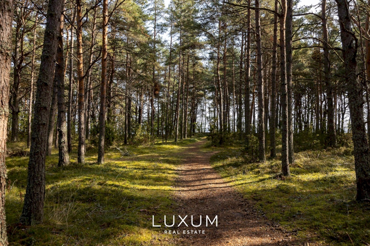 Jõelähtme vald, Neeme küla, Männimäe tee 3