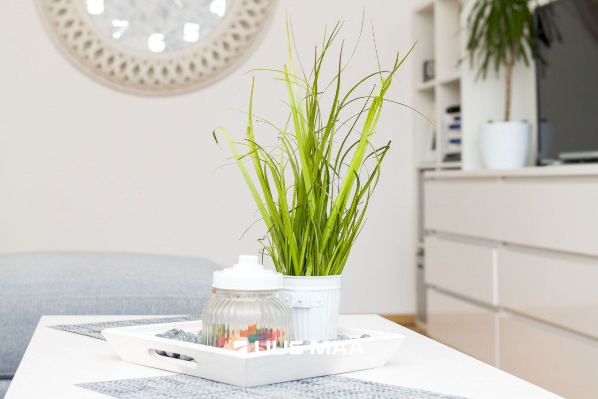 Tallinn, Haabersti linnaosa, Õismäe tee 42