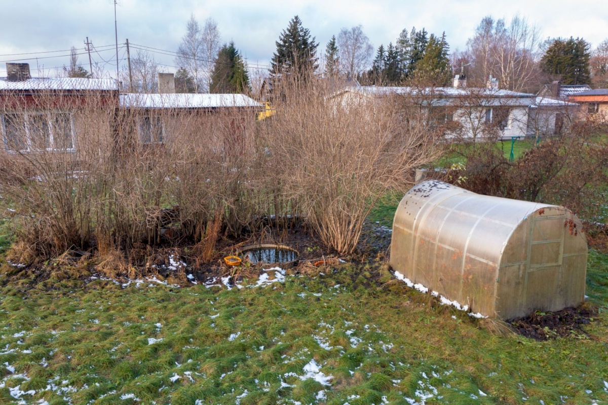 Järva vald, Päinurme küla, kirsi 7