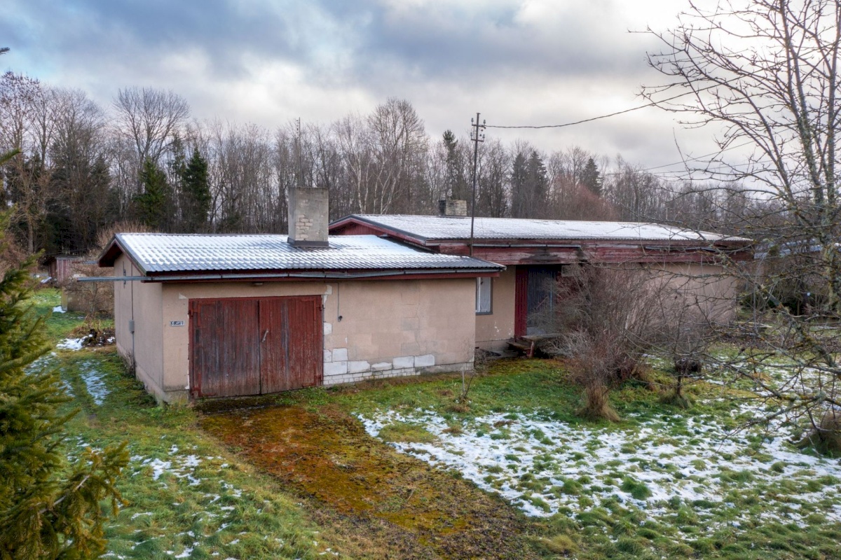 Järva vald, Päinurme küla, kirsi 7