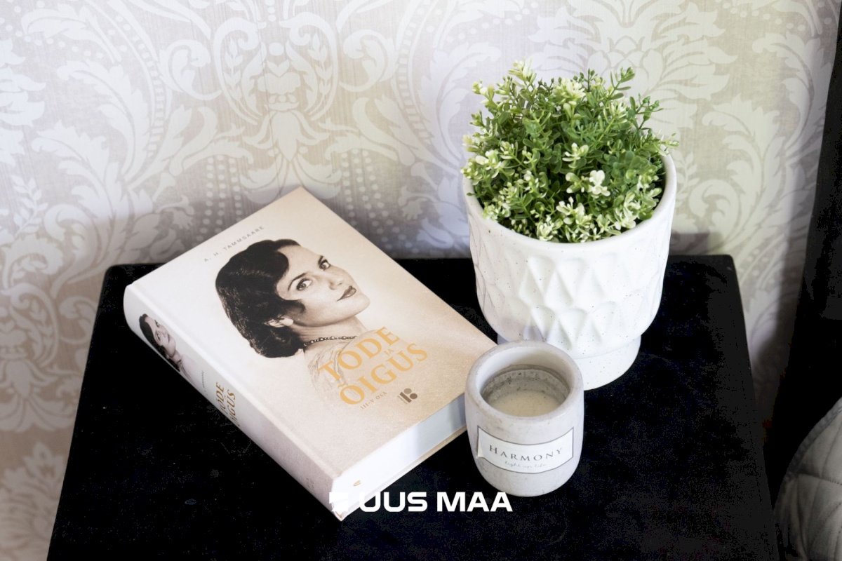 Tallinn, Pirita linnaosa, Merivälja, Lodjapuu tee 47