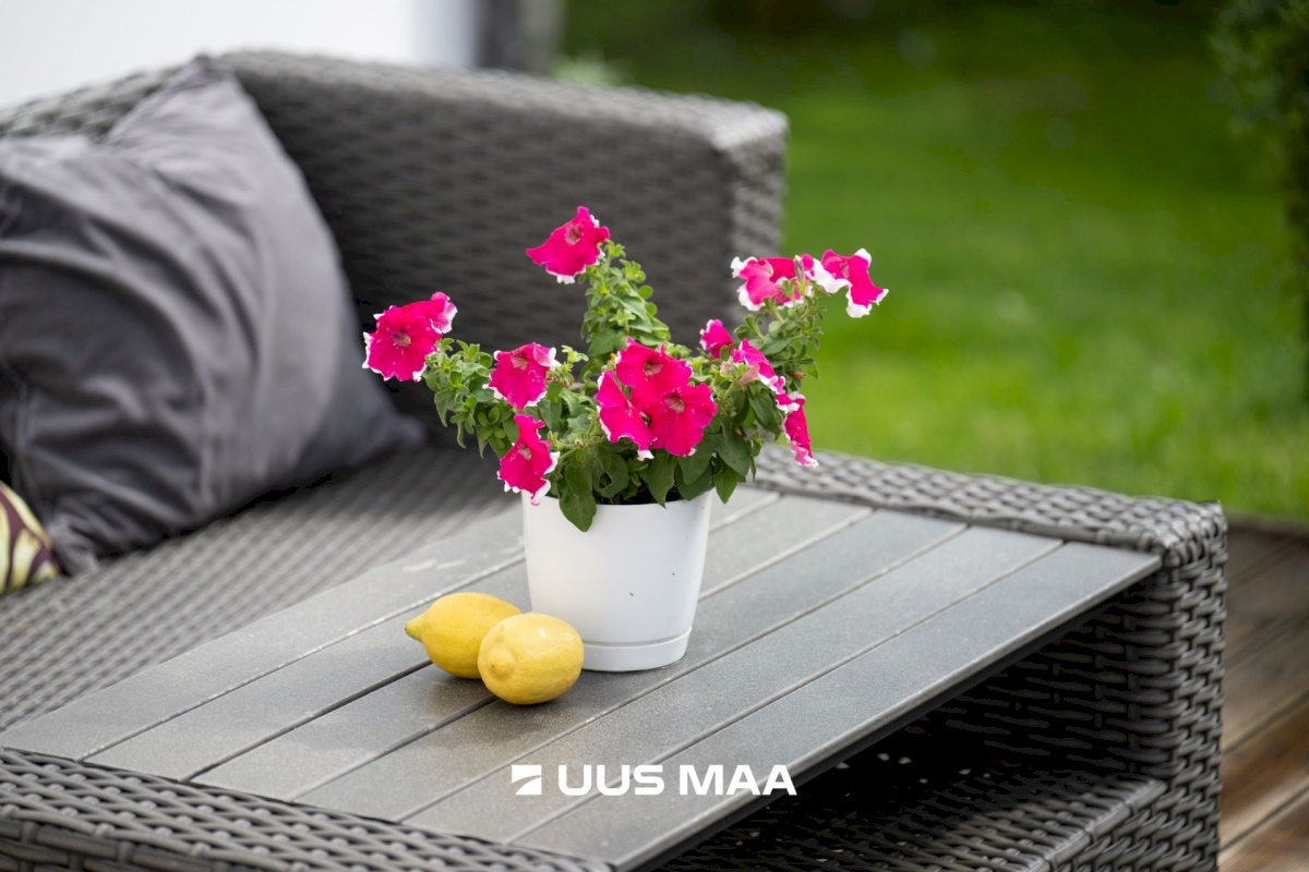 Tallinn, Pirita linnaosa, Merivälja, Lodjapuu tee 47