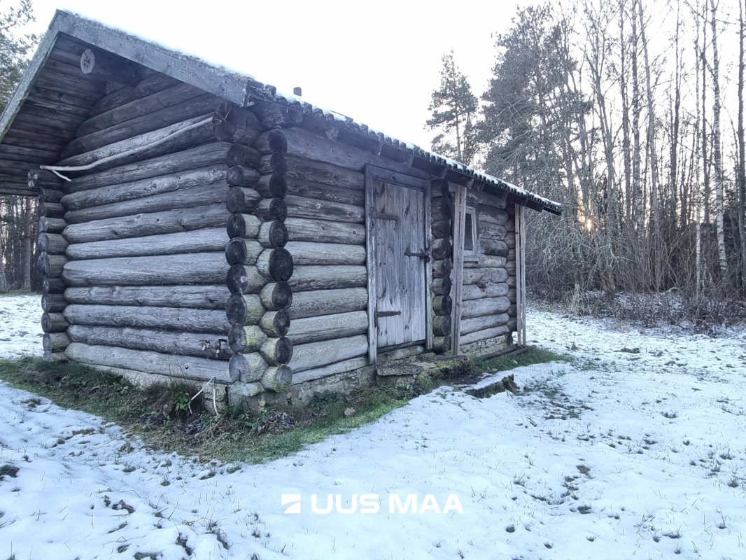 Haljala vald, Andi küla